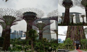 supertree singapore