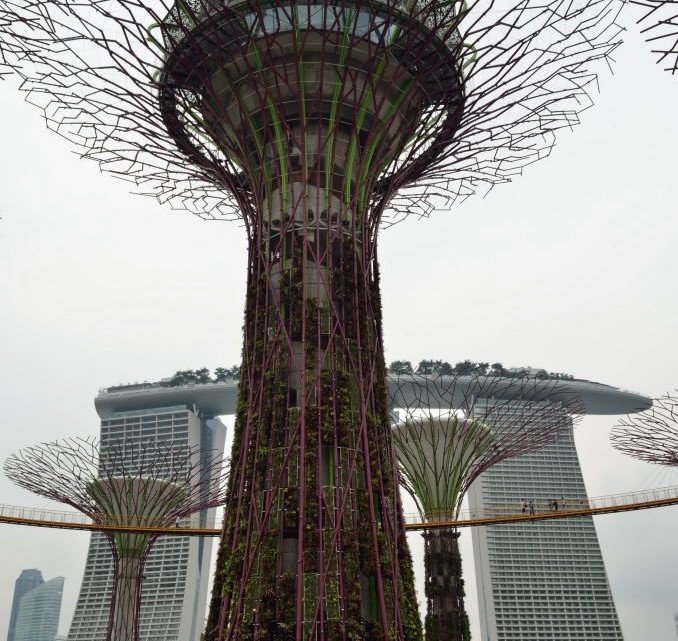 ssupertree rooftop singapore