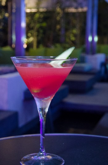 vibes mira hong kong