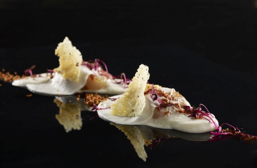 Diver Caught Scallop