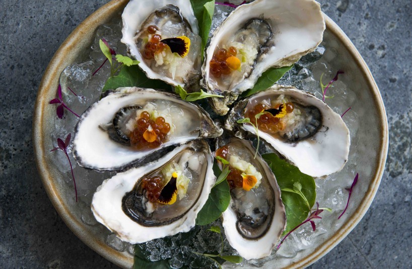 Irish Oysters