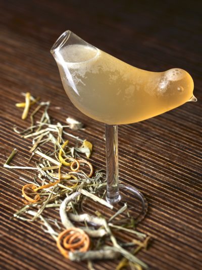 neon pigeon singapore